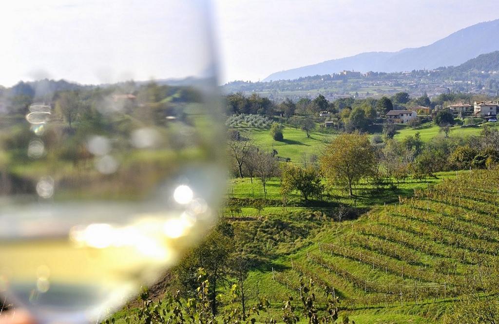 Wine Hotel San Giacomo Activity & Wellness Paderno del Grappa Εξωτερικό φωτογραφία