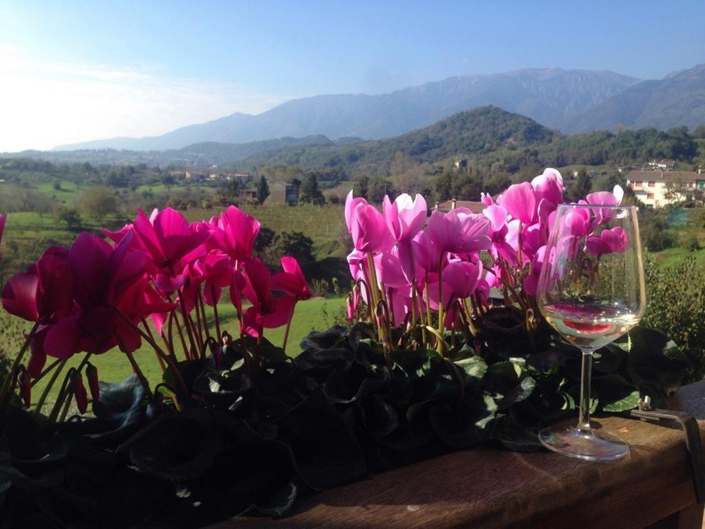 Wine Hotel San Giacomo Activity & Wellness Paderno del Grappa Εξωτερικό φωτογραφία